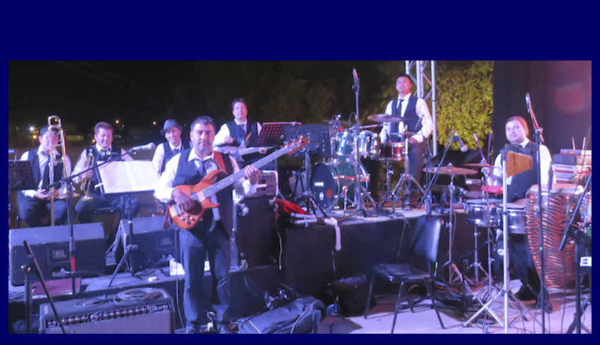 Musicos Profesionales